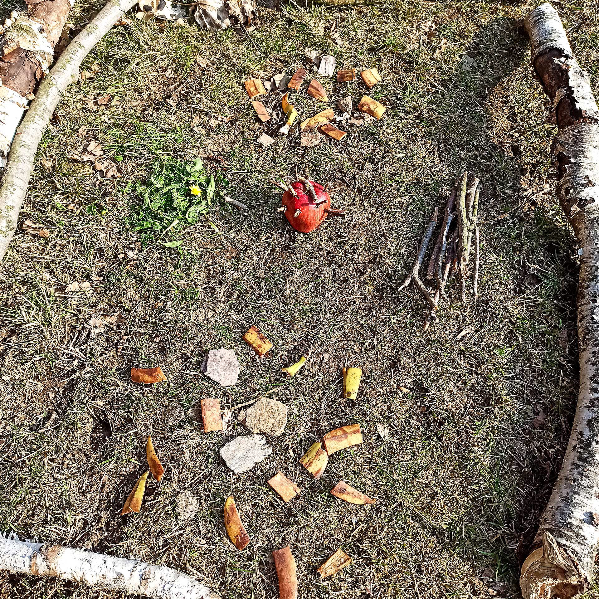 Ein auf dem Waldboden liegendes Bild aus Ästen, Stöcken und Kastanien.