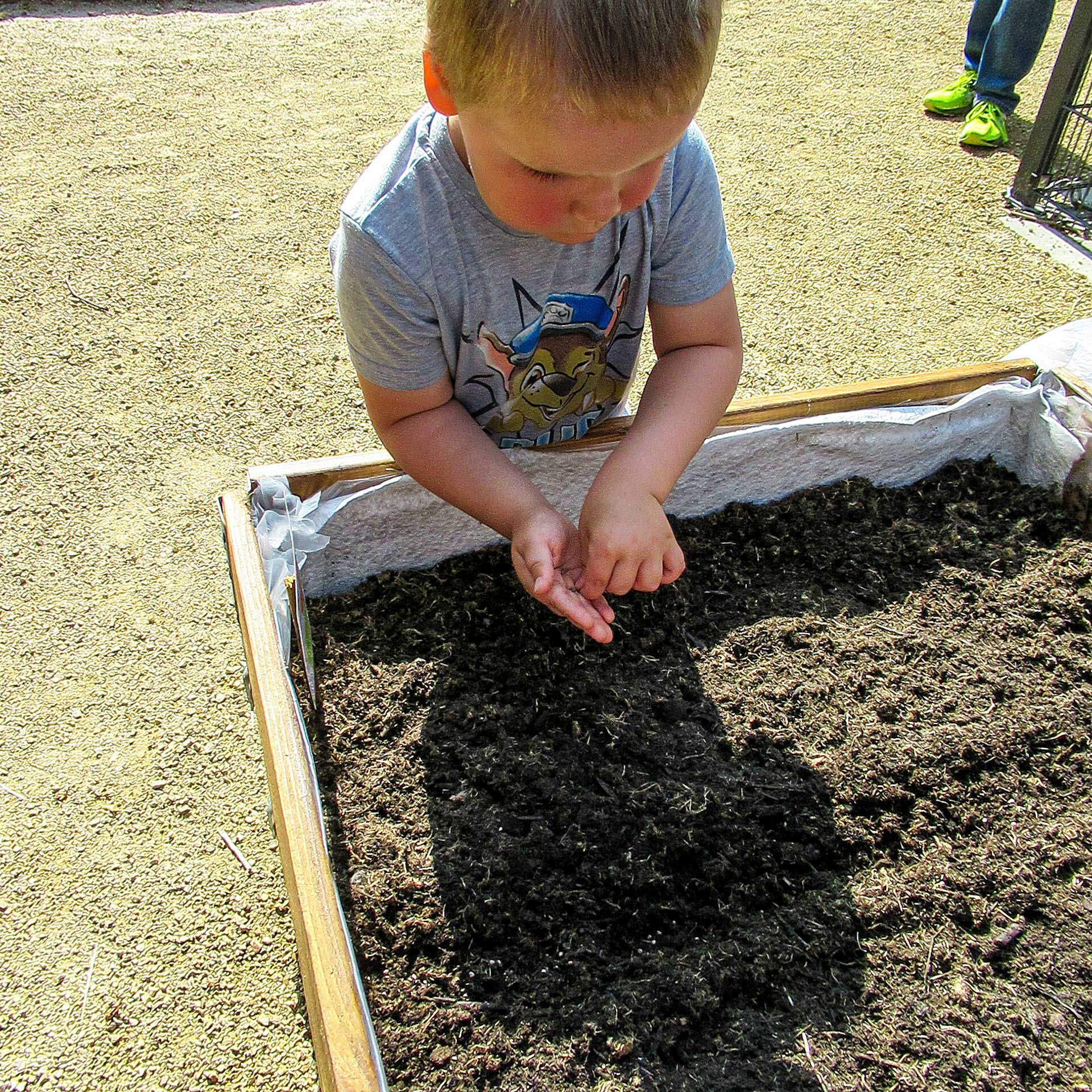 Ein Kleinkind bepflanzt ein Hochbeet und hält Samen in der Hand.